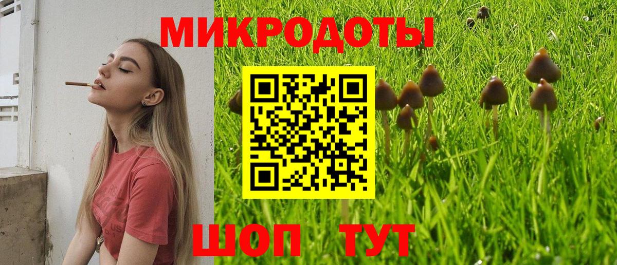 Галлюциногенные грибы Magic Shrooms Гагарин
